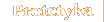 Protetyka